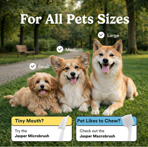 Jasper Dog Toothbrush, 360° Finger Toothbrush for Dogs & Cats, Blue 2-Pack