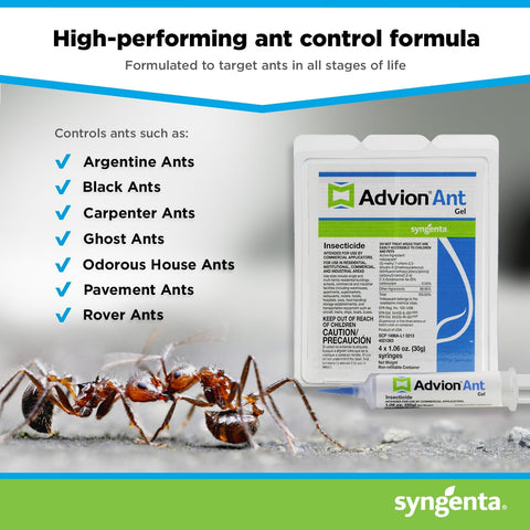 Advion Ant Gel Bait, 4 Tubes x 30-Grams, 4 Plungers and 4 Tips, Effective Bait, Formulated with 0.05% Indoxacarb, Indoor and Outdoor Use, Killer Gel for Control of Most Major Ant Species