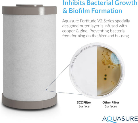 Aquasure Fortitude V2 Series Triple Purpose Sediment/Carbon/Zinc Replacement Filters (1, Standard)