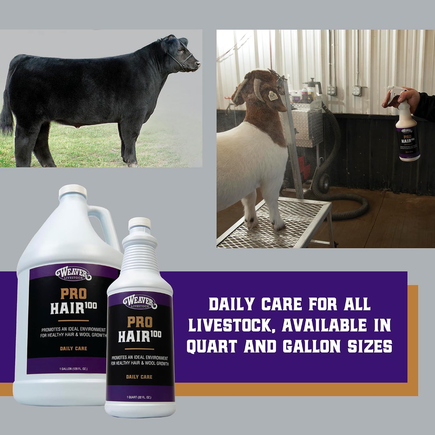 Weaver Livestock ProHair100 Healthy Hair and Wool Rejuvenating Livestock Hair Conditioner for Sheep, Goats, Cattle, and More, Showsheen Essentials