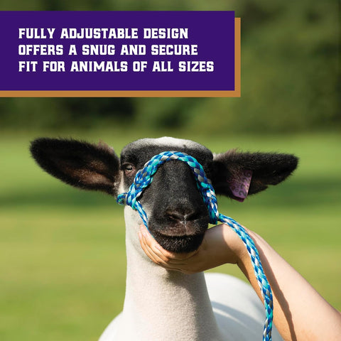 Weaver Livestock Poly Rope Sheep Halter, Modern Style Braid Sheep and Goat Rope Halter, Adjustable Lamb Halter Lead, Livestock Sheep Showing Supplies