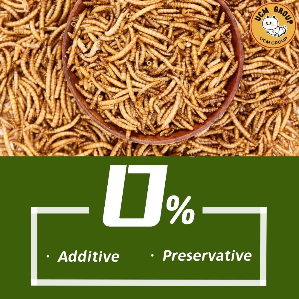 5LB Dried mealworms for Wild Birds, Chickens, High Protein Organic Chicken Feed, 100% Non-GMO for Chickens, Ducks, Turtles and Reptiles