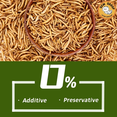 5LB Dried mealworms for Wild Birds, Chickens, High Protein Organic Chicken Feed, 100% Non-GMO for Chickens, Ducks, Turtles and Reptiles