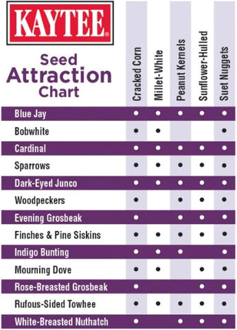 Kaytee Seed & Suet No Mess Blend Blueberry Flavor 10 Pounds,(Pack of 3)