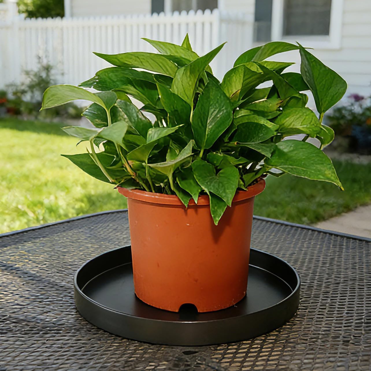 2 Pack 8 inch Plant Saucer Drip Tray, Heavy Sturdy Plastic Planter Flower Pot Drainage Tray Plate Saucers for Indoor Outdoor Garden, Plant Water Drip Trays for pots Base (8", Black)