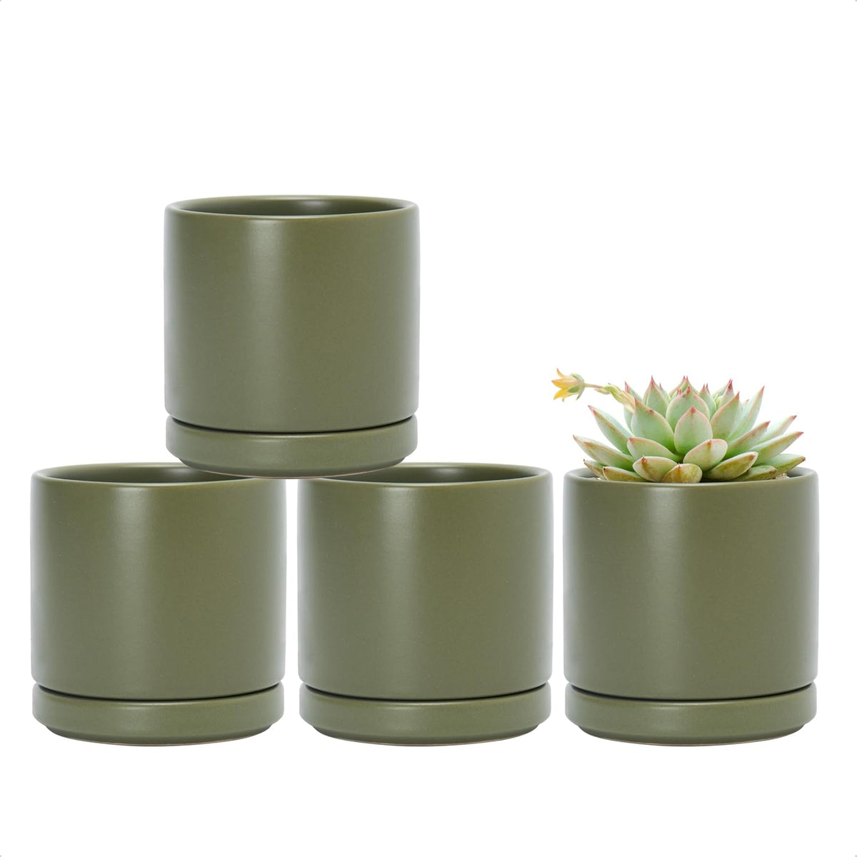 D'vine Dev 4-Pack Ceramic Pots with Saucers, Olive, 3.5 in, 94-X-A-0