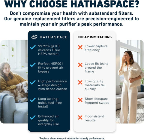 HATHASPACE HSP001 H11 HEPA Filter Replacement