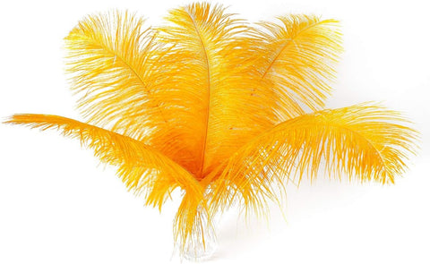 Ballinger Big Gold Ostrich Feathers for Crafts,24Pcs,8-10inch