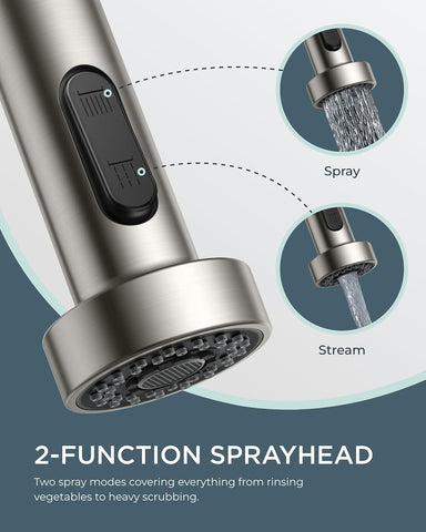 FORIOUS Kitchen Faucet with Purfied Water Filter, 2 Handle, Brushed Nickel