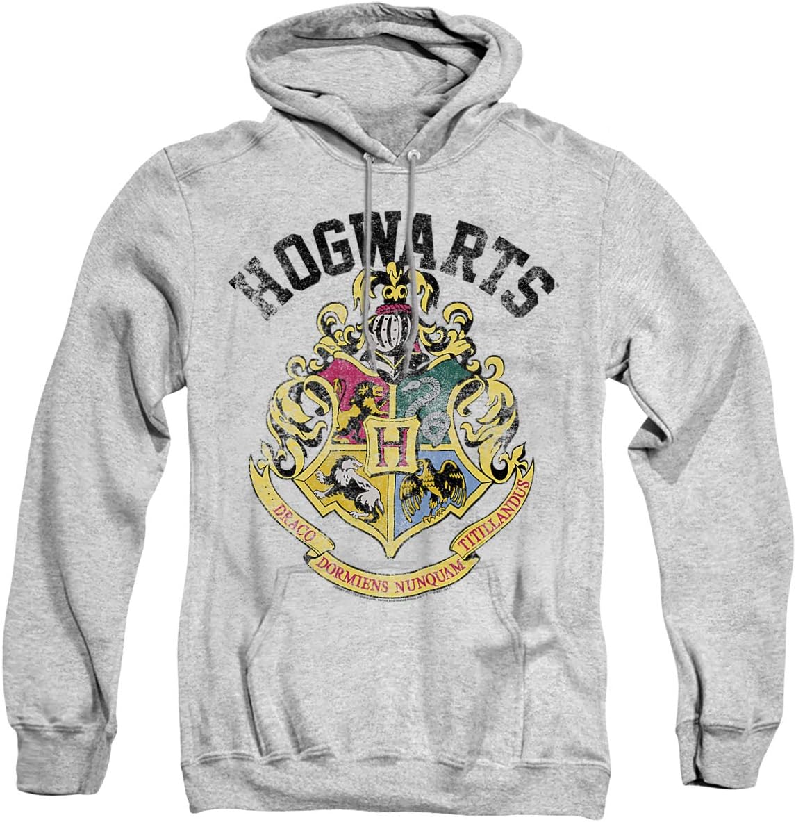Trevco Harry Potter Hogwarts Crest Unisex Adult Pull-Over Hoodie