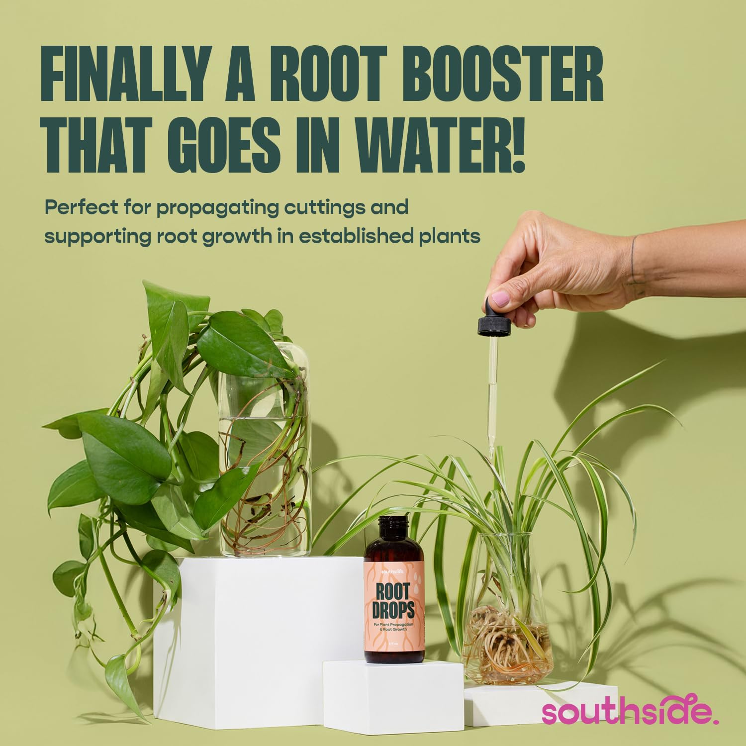 Root Drops - Liquid Rooting Hormone for Cuttings | Fast Propagation Drops, Stronger Roots, Less Shock | Works in Water, Soil, Leca, Moss| For all Indoor Houseplants like Pothos, Monstera, Philodendron