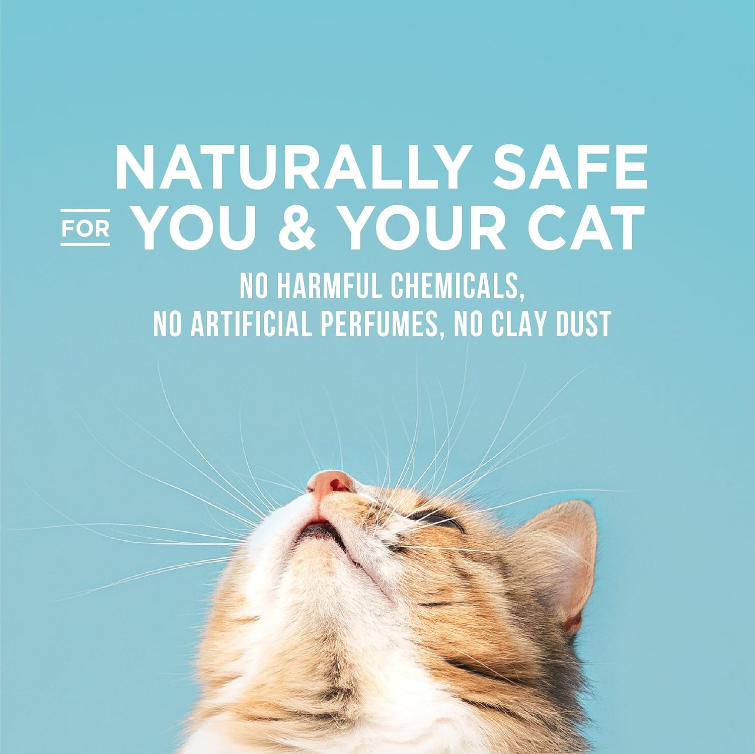 World's Best Cat Litter Poop Fighter, Urine & Poop Odor Defense, 15 lb Bag