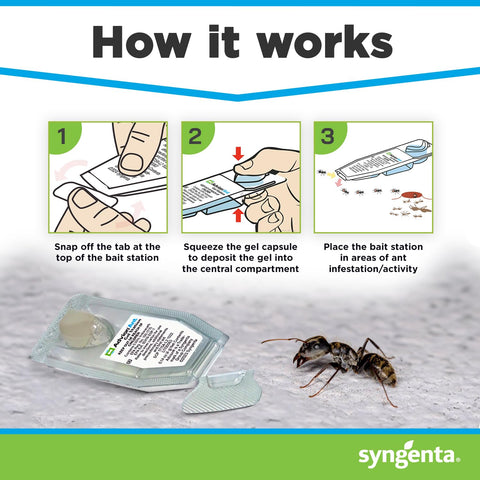 Syngenta Advion Ant Gel Station Insecticide, Ready-to-Use Gel Bait with The Active Ingredient Indoxacarb, Ant Bait for Use Indoor and Outdoor, 1 Box (3 Total Stations)