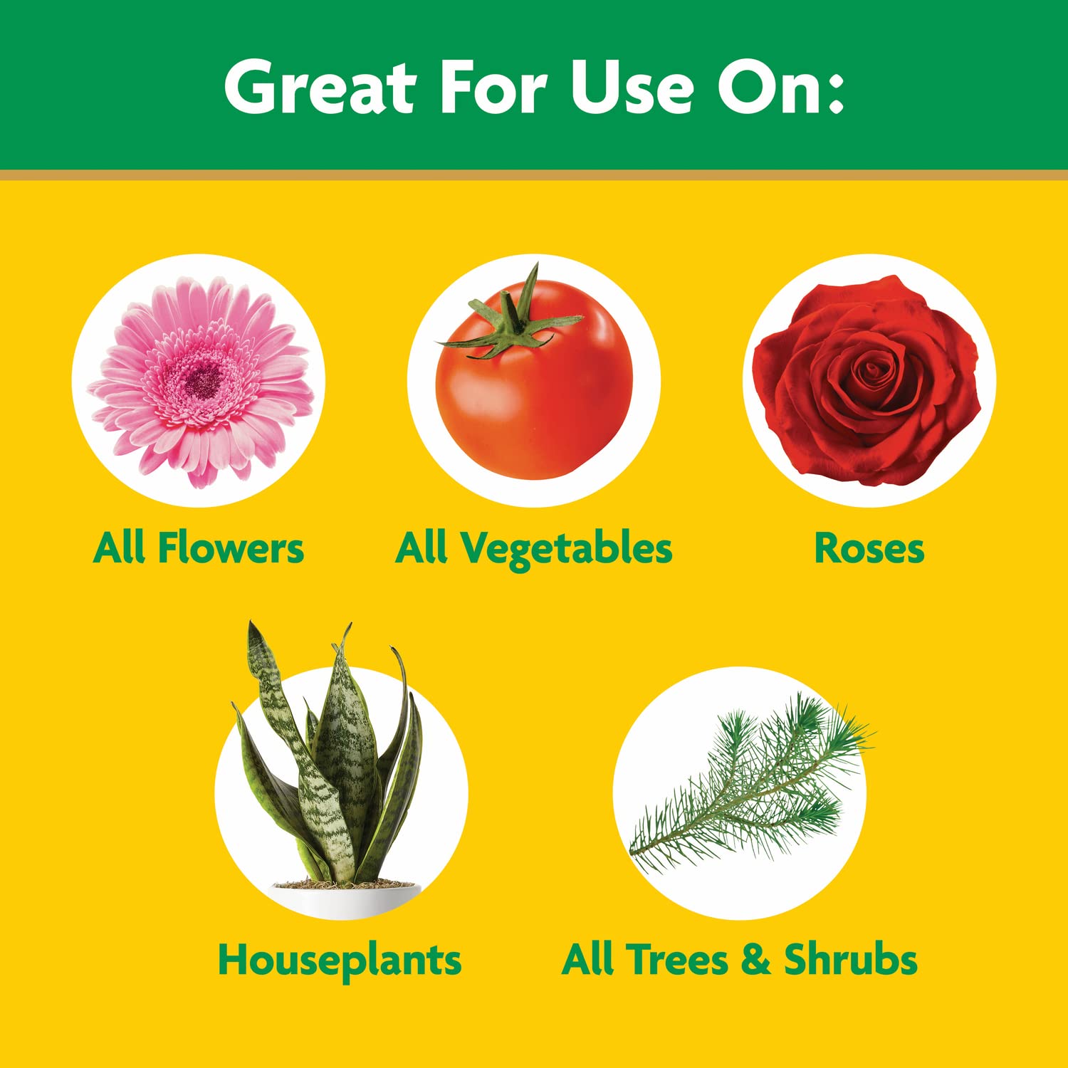 Miracle-Gro Water Soluble All Purpose Plant Food, 10 lb.