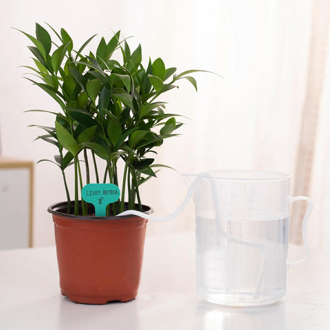 ORIMERC 15ft Self-Watering Capillary Wick Cord Vacation Plant Sitter DIY Hydroponic Wicking Planter Pot Automatic Water System Device Potted Violet Auto Seedling Waterer Rope