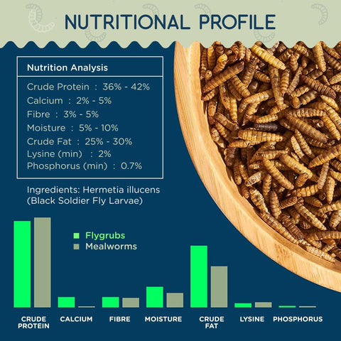 FLYGRUBS 5 lbs Non-GMO Dried Black Soldier Fly Larvae - Chicken Food