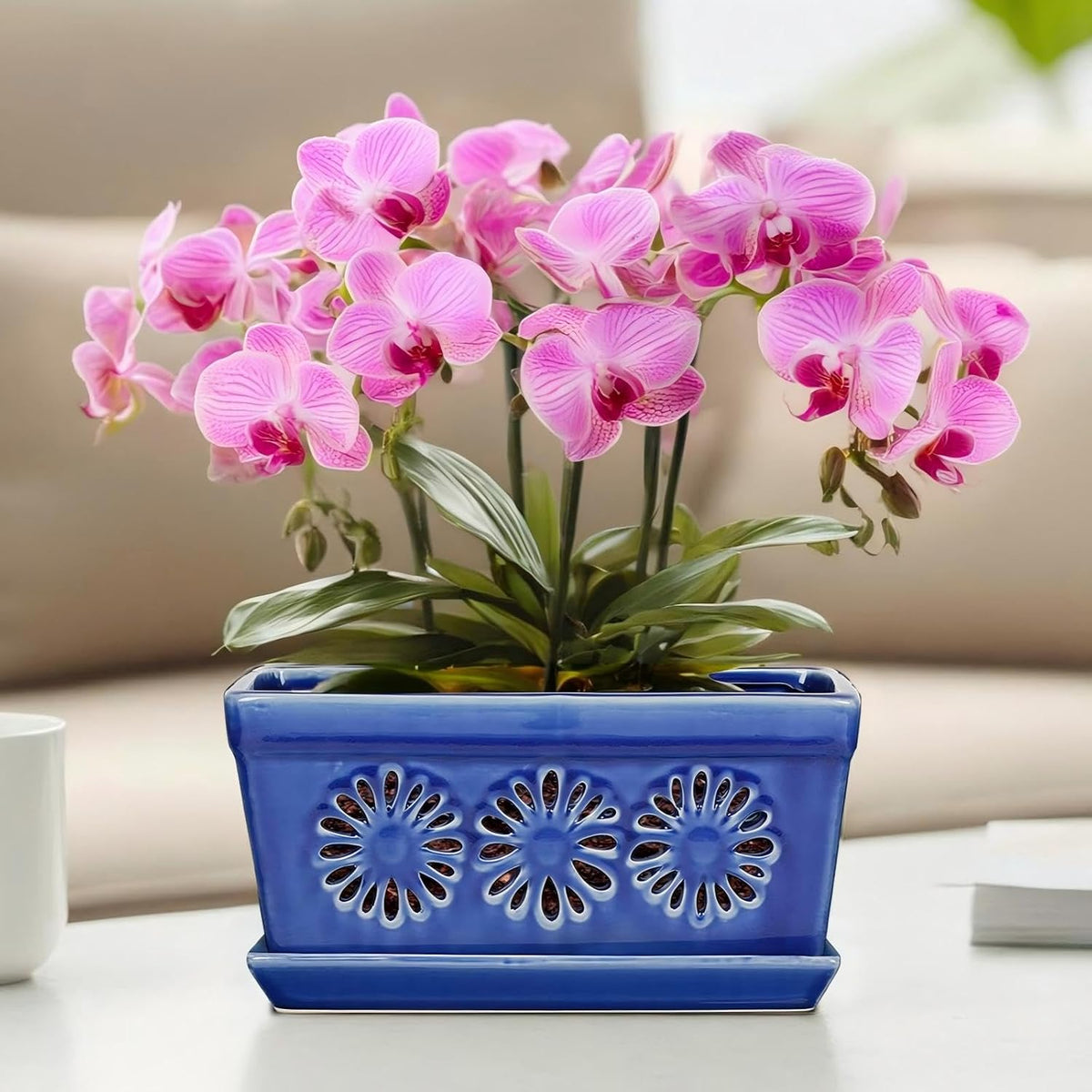 EFISPSS 10 Inch Orchid Pot, Ceramic Orchid Pots with Holes, Indoor Flower pots with Drainage and Saucer, Plant Pots Enhance Good Ventilation - Blue