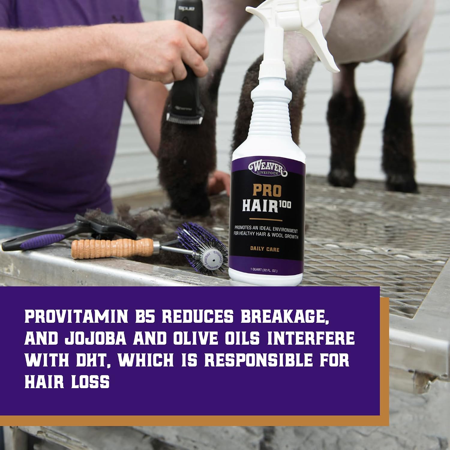 Weaver Livestock ProHair100 Healthy Hair and Wool Rejuvenating Livestock Hair Conditioner for Sheep, Goats, Cattle, and More, Showsheen Essentials