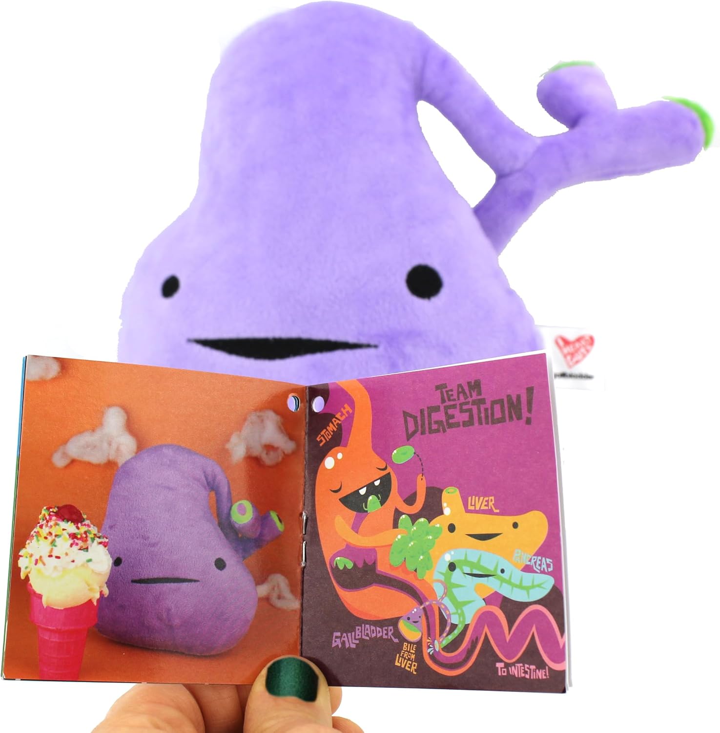 I Heart Guts Gallbladder Plush -8.5" Cute Educational Organ Toy for Gallbladder Removal Surgery Gallstones - Funny Get Well Recovery Gift for Nurse, Patients & Medical Student STEM Anatomy Plushie