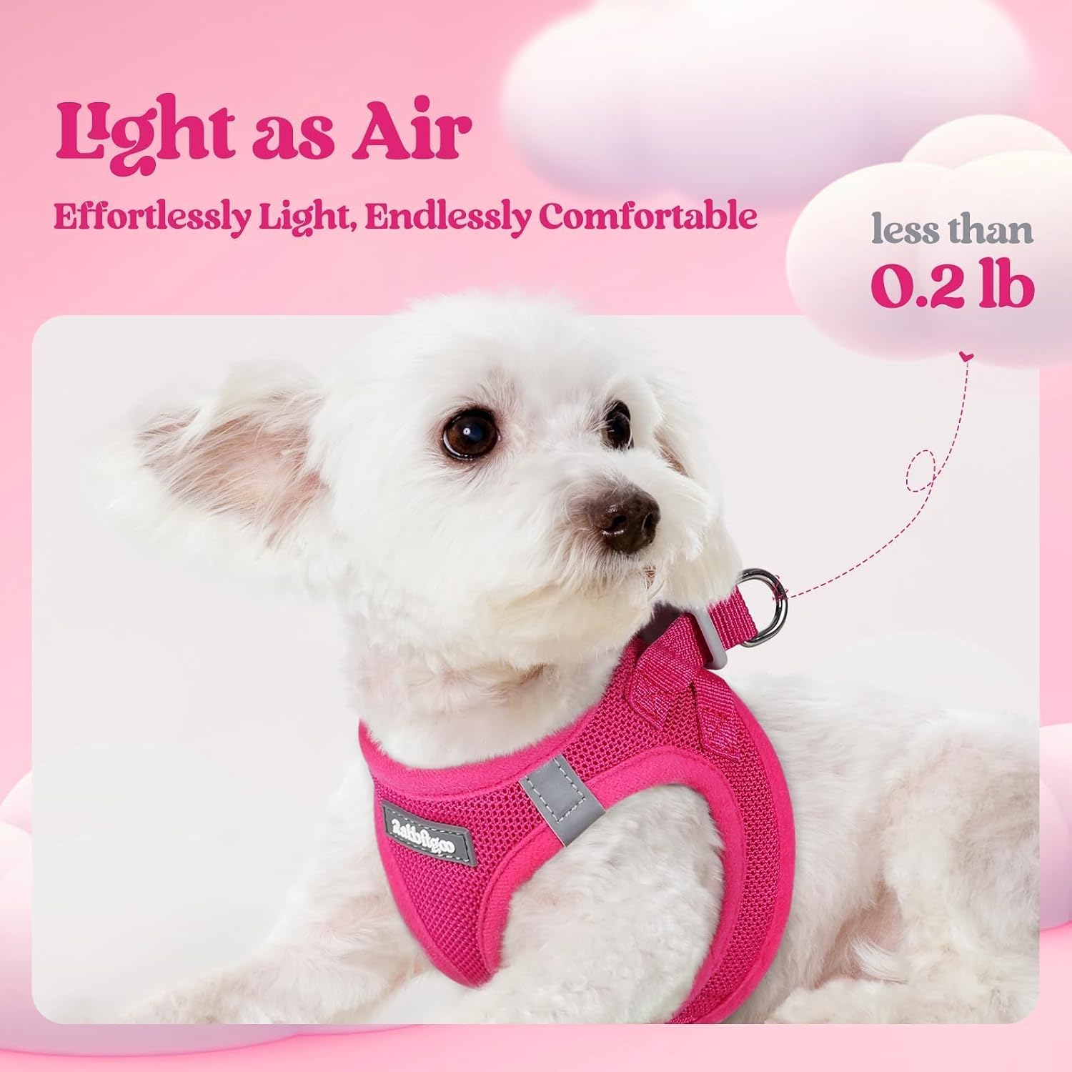 rabbitgoo Dog Harness Small Sized and Leash Set, Step-in Puppy Pet Vest