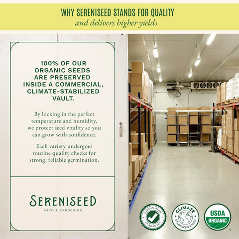 Sereniseed Certified Organic Herb Seeds 35-Pack | Non-GMO Heirloom Variety for Indoor Outdoor Culinary Gardening Gift Kit