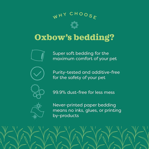 Oxbow Small Animal Bedding, Hamster, Guinea Pig, Rabbit, White, USA, 72 L