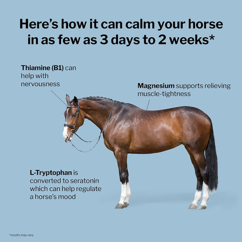 Formula 707 Calming Supplement for Horses, 10 lb, 80 Servings – Focus Aid