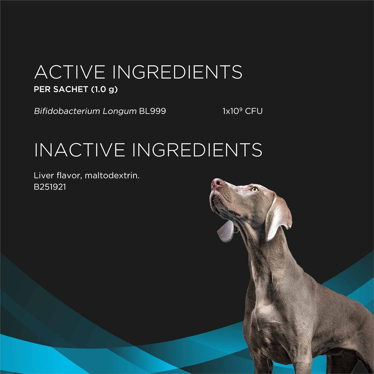 Pro Plan Veterinary Supplements Calming Care Dog Supplements - Supports Dogs with Everyday Stress, Anxious Behaviors