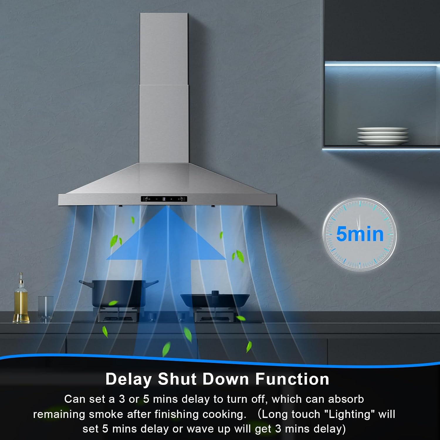 Wall Mount Range Hood 30 inch, Ducted/Ductless Range Hood