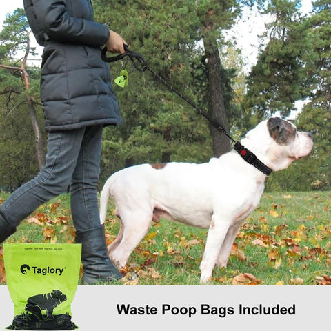 Taglory Rope Dog Leash for Medium Large Dogs, 6 FT Padded Handle, Black
