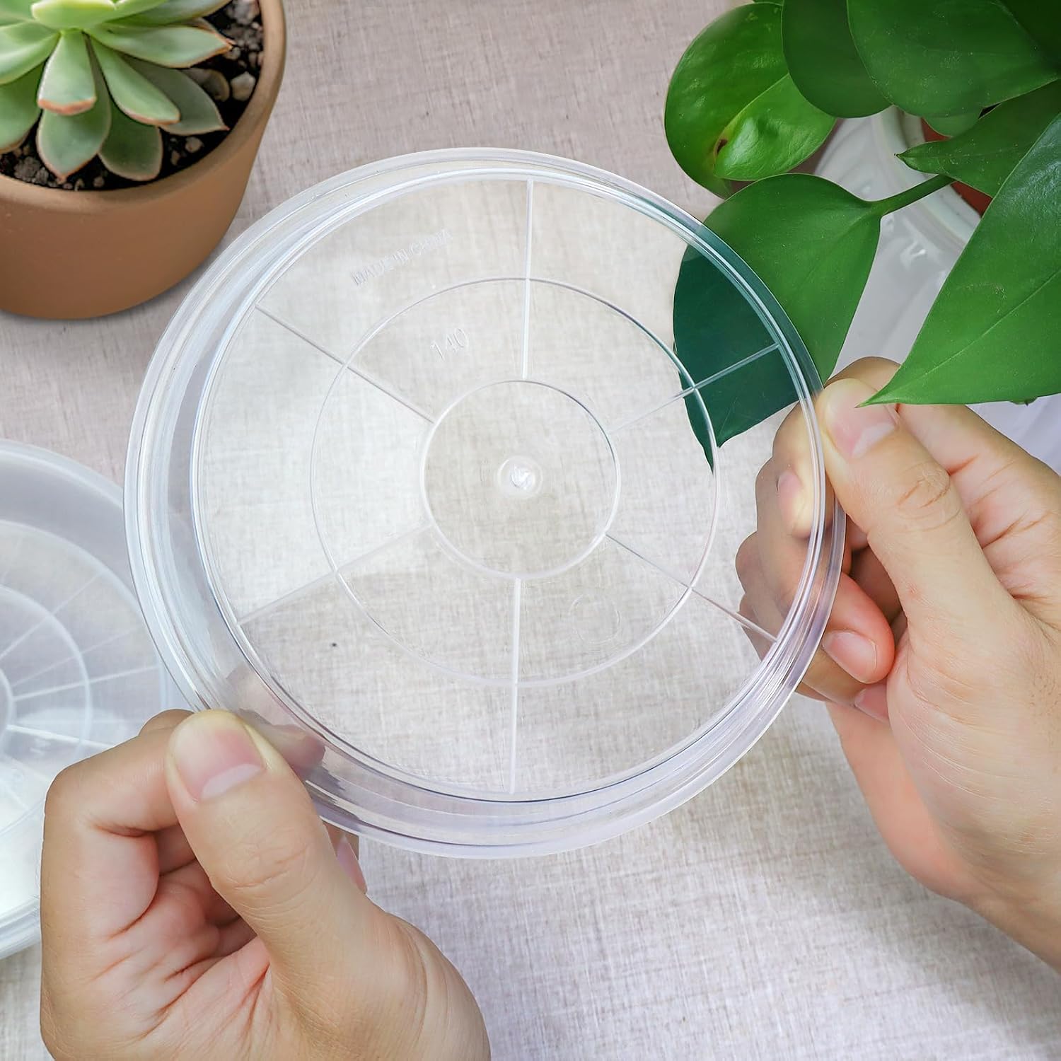 FUIJOL 6 Pack Clear Plant Saucer, Durable Plant Drip Trays Saucers for Pots, No Holes Water Catcher Trays for Indoor Outdoor Planter, Sturdy Base Plate(6", Clear)