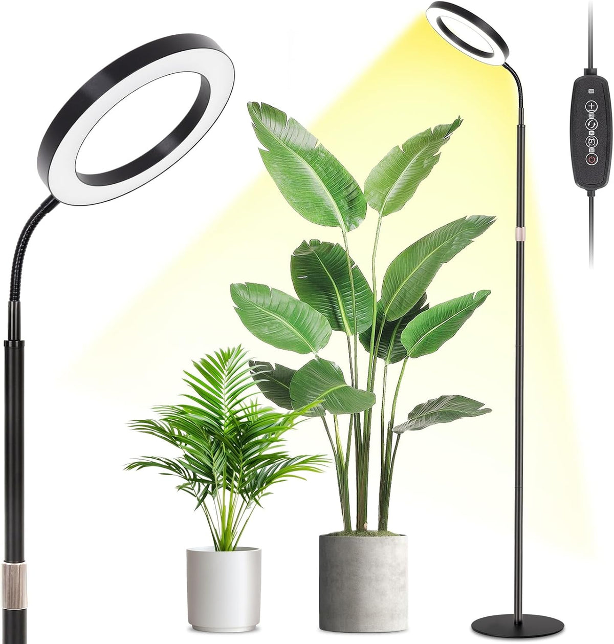 LBW Grow Light with Stand for Indoor Plants, 8" Halo Full Spectrum Grow Light, Adjustable Height up to 68", Auto Cycle Timer (4/8/12H), 6-Level Dimmable, Plant Light for Indoor Growing