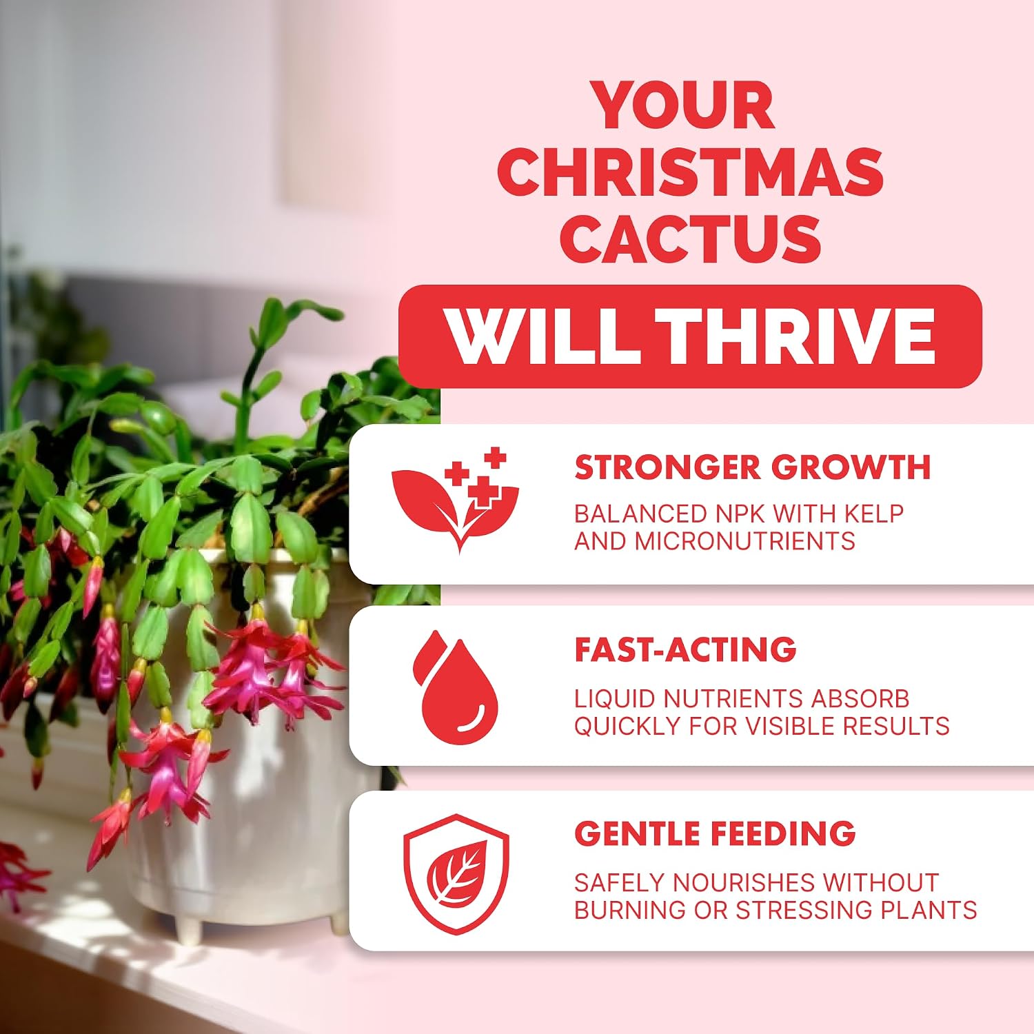 Christmas Cactus Fertilizer - Liquid Plant Food for More Blooms, 32 oz
