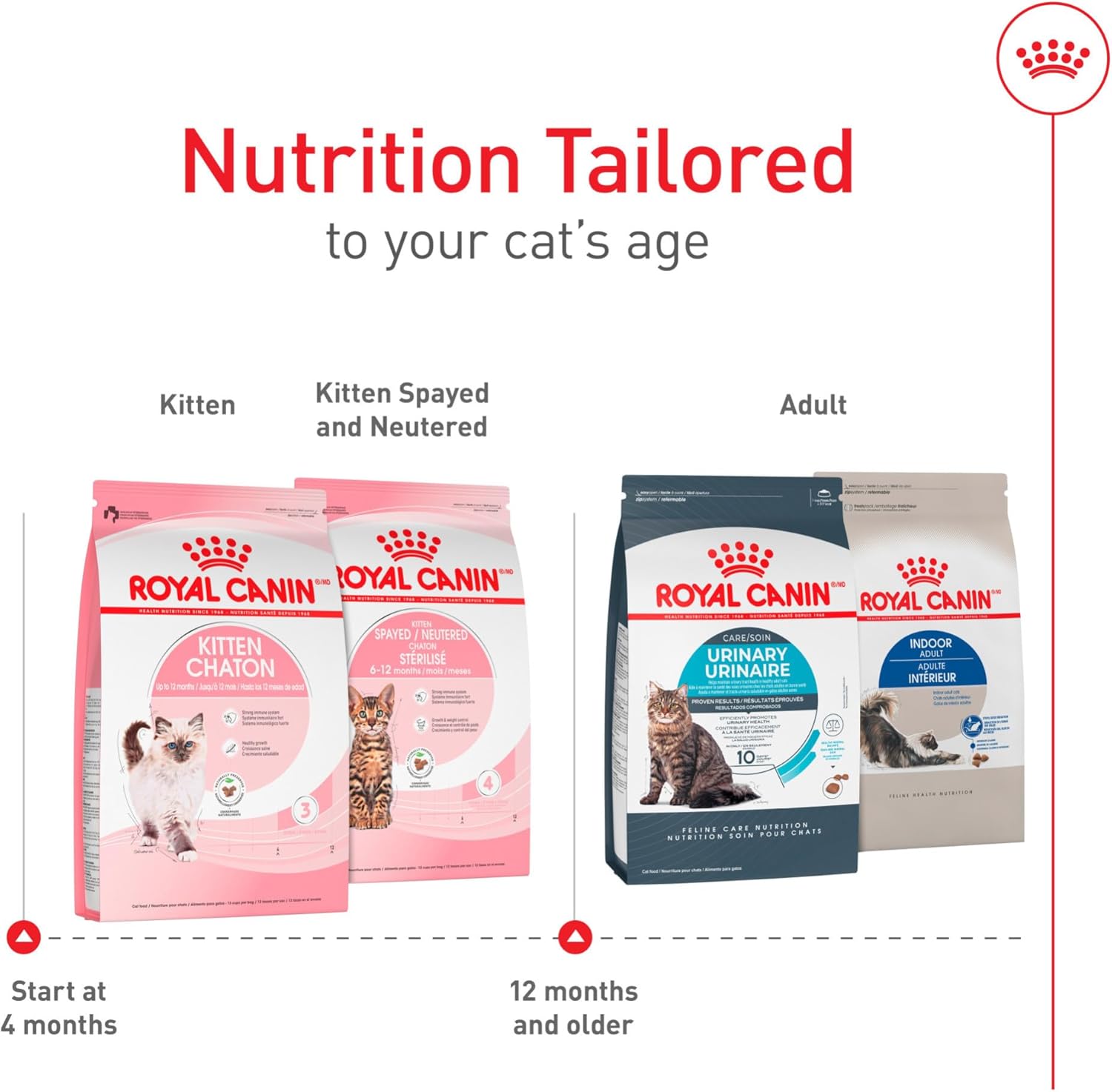 Royal Canin Feline Health Nutrition Dry Kitten Food, Supports Digestive Health, Immune Support and Healthy Energy, 3 lb Bag