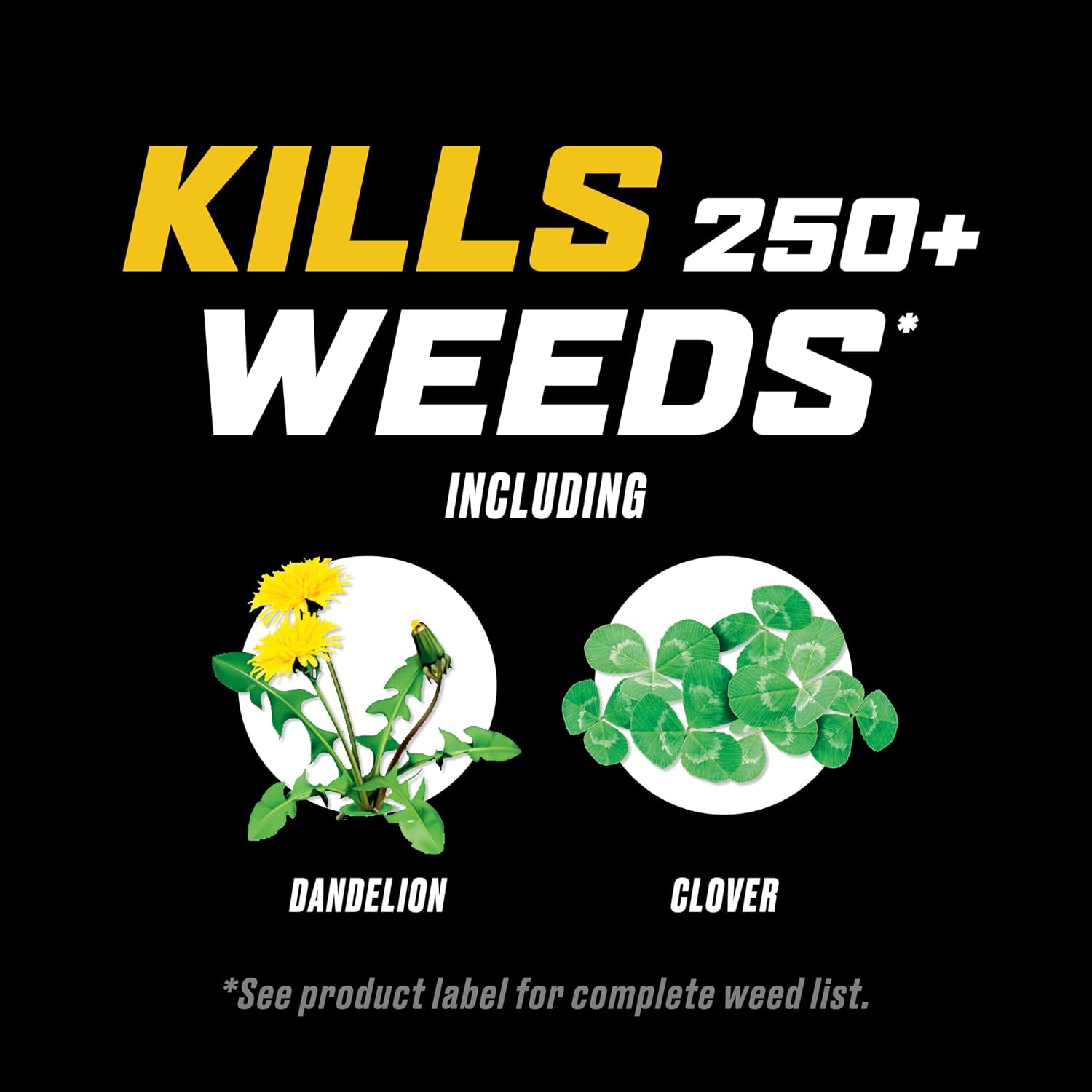 Ortho WeedClear Weed Killer for Lawns with Comfort Wand, 1 gal.