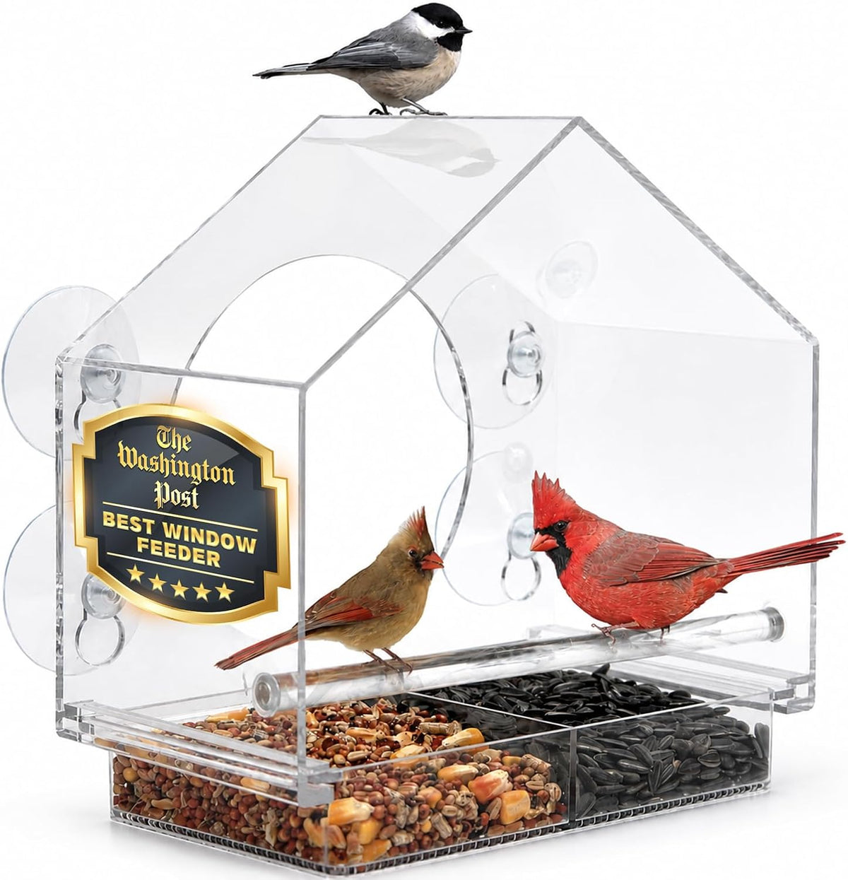 Window Bird Feeder with Strong Suction Cups, Bird Feeders for Outdoors