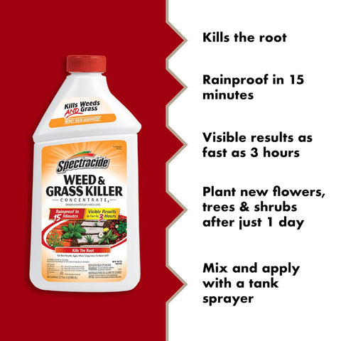 Spectracide Weed & Grass Killer Concentrate for Driveways & Walkways, 40 Oz