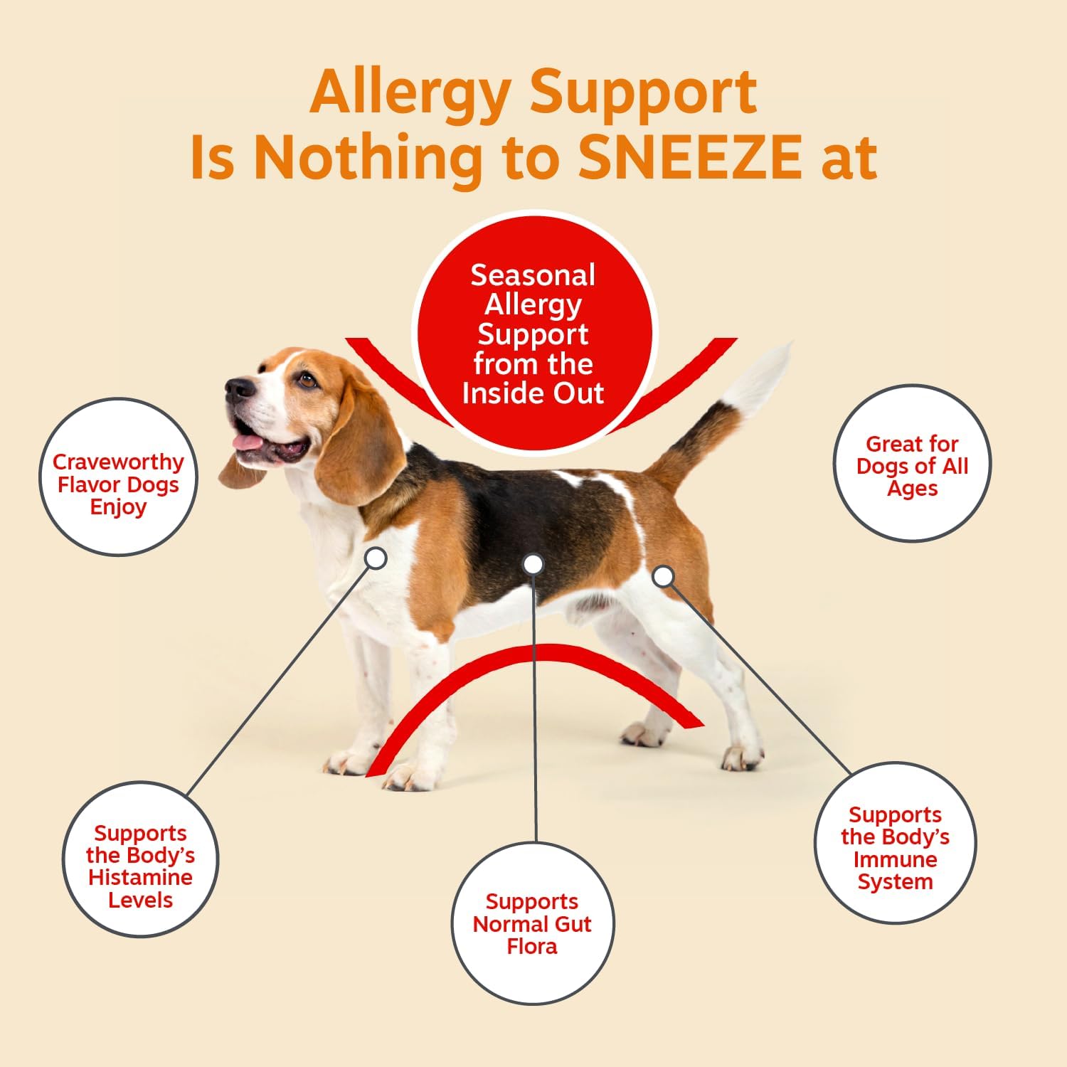 Zesty Paws Dog Allergy Chews - Dog Allergy Relief, Lamb, 90 Ct