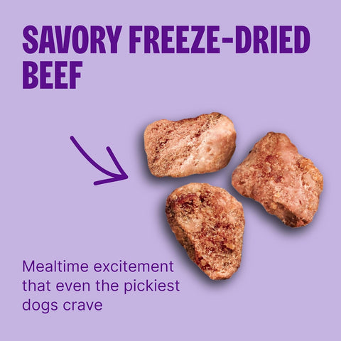 Wellness CORE+ Adult Dry Dog Food with Freeze Dried Pieces, Wholesome Grain Kibble+, Natural, High Protein, Beef and Barley Recipe, 18 lb Bag