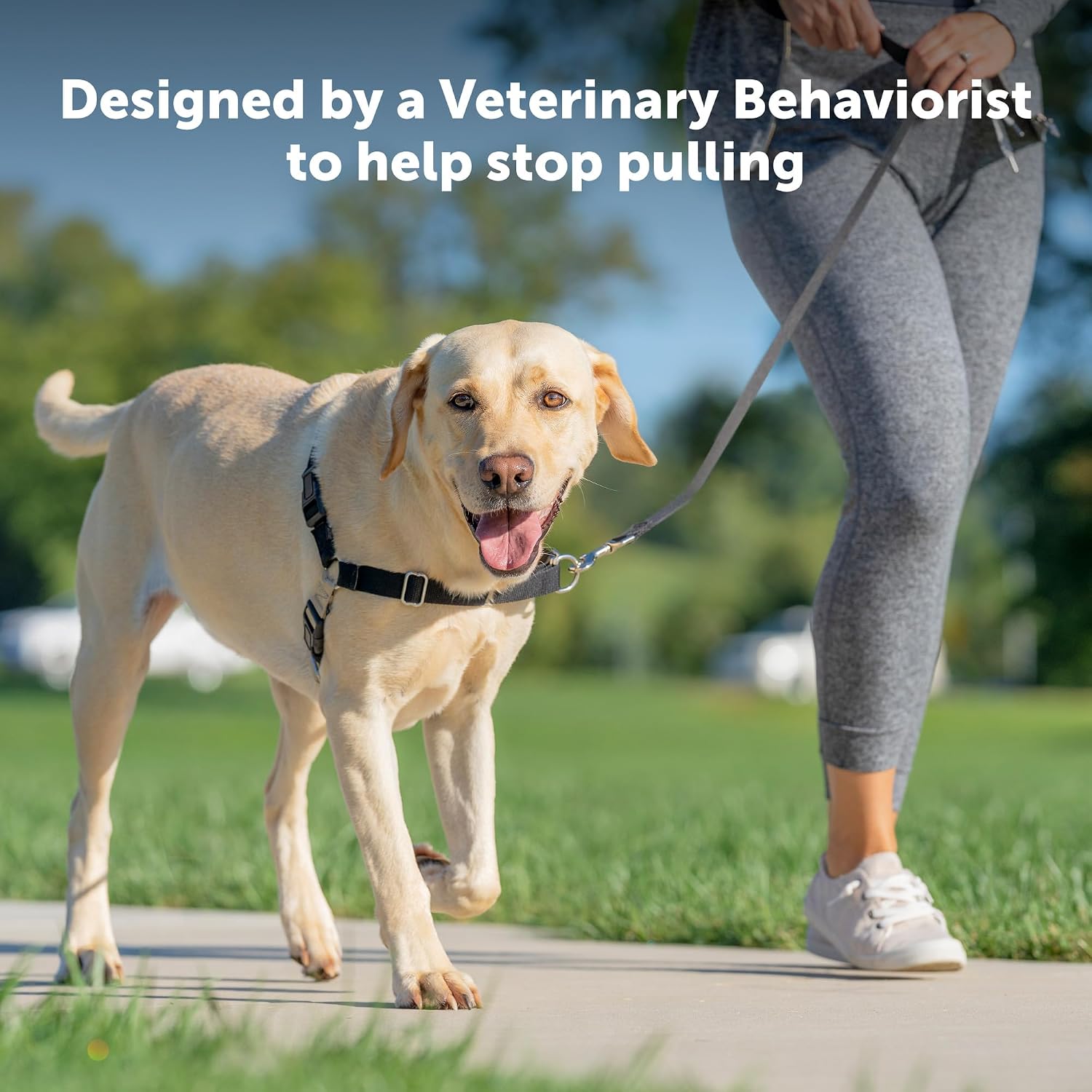 PetSafe Easy Walk Harness, No Pull Dog Harness, Raspberry, Large