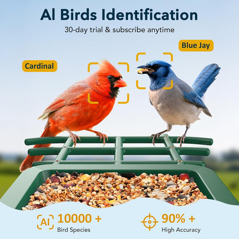 PeckCam® Bird Feeder with Camera Solar Powered 2K Live Video Auto Capture