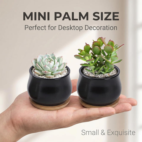 SHECIPIN 8 Pack Succulent Plant Pot, Matte Black Mini 2.6 inch Ceramic Flower Planter Pot with Bamboo Tray, Small Pots for Plants, Plants Not Included