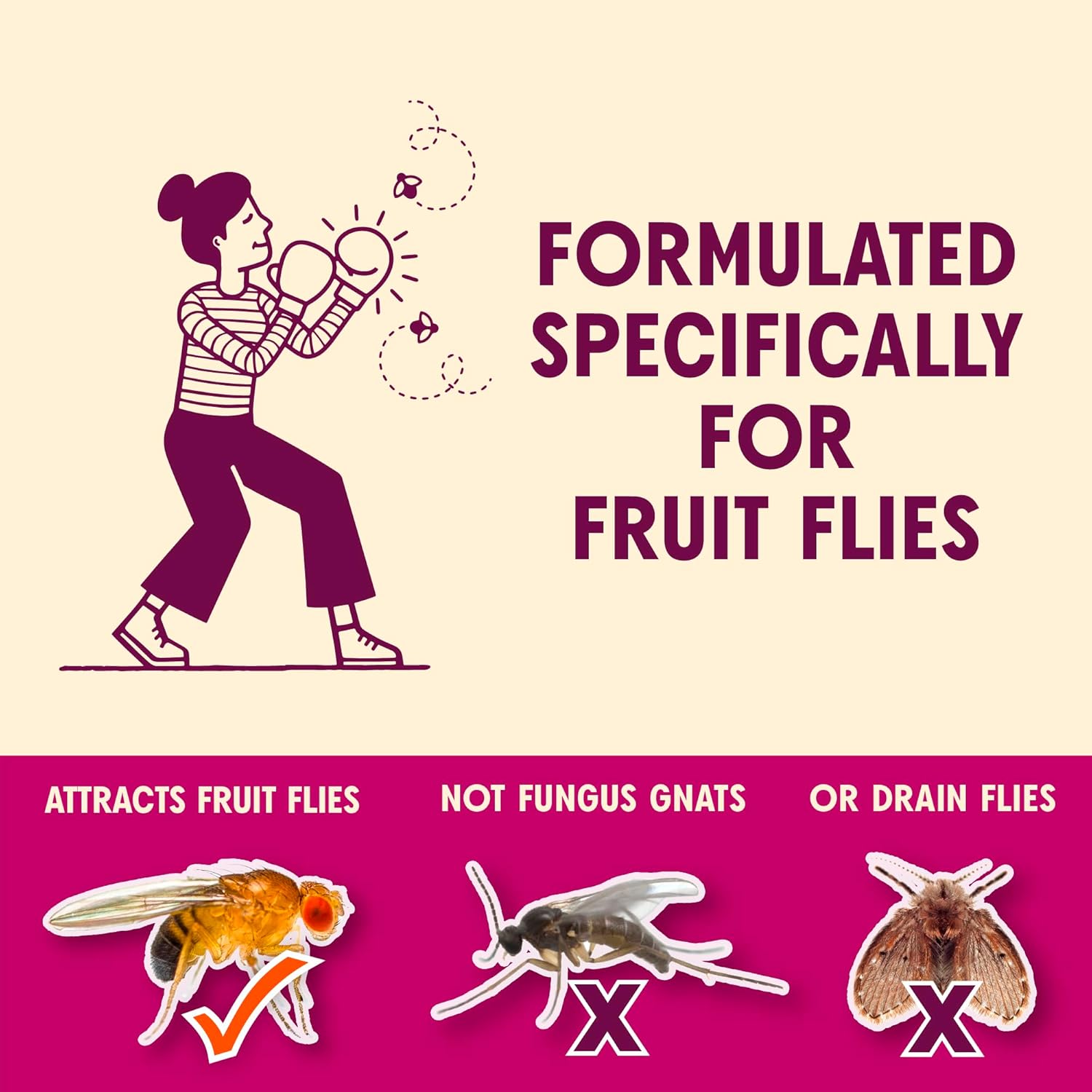 Aunt Fannie's FlyPunch Fruit Fly Trap, Indoor Kitchen Use, 6 oz, Pack of 2