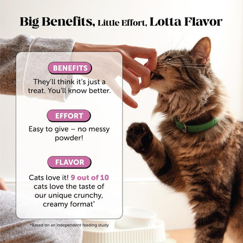 Cat Multivitamin Crunchy Creamy Chews - Daily Cat Vitamins with Lysine, Prebiotics, Omega 3 Fish Oil - Cat Treats for Immune Support, Skin Coat, Digestion, Heart + Joint Health (30-Day Supply)