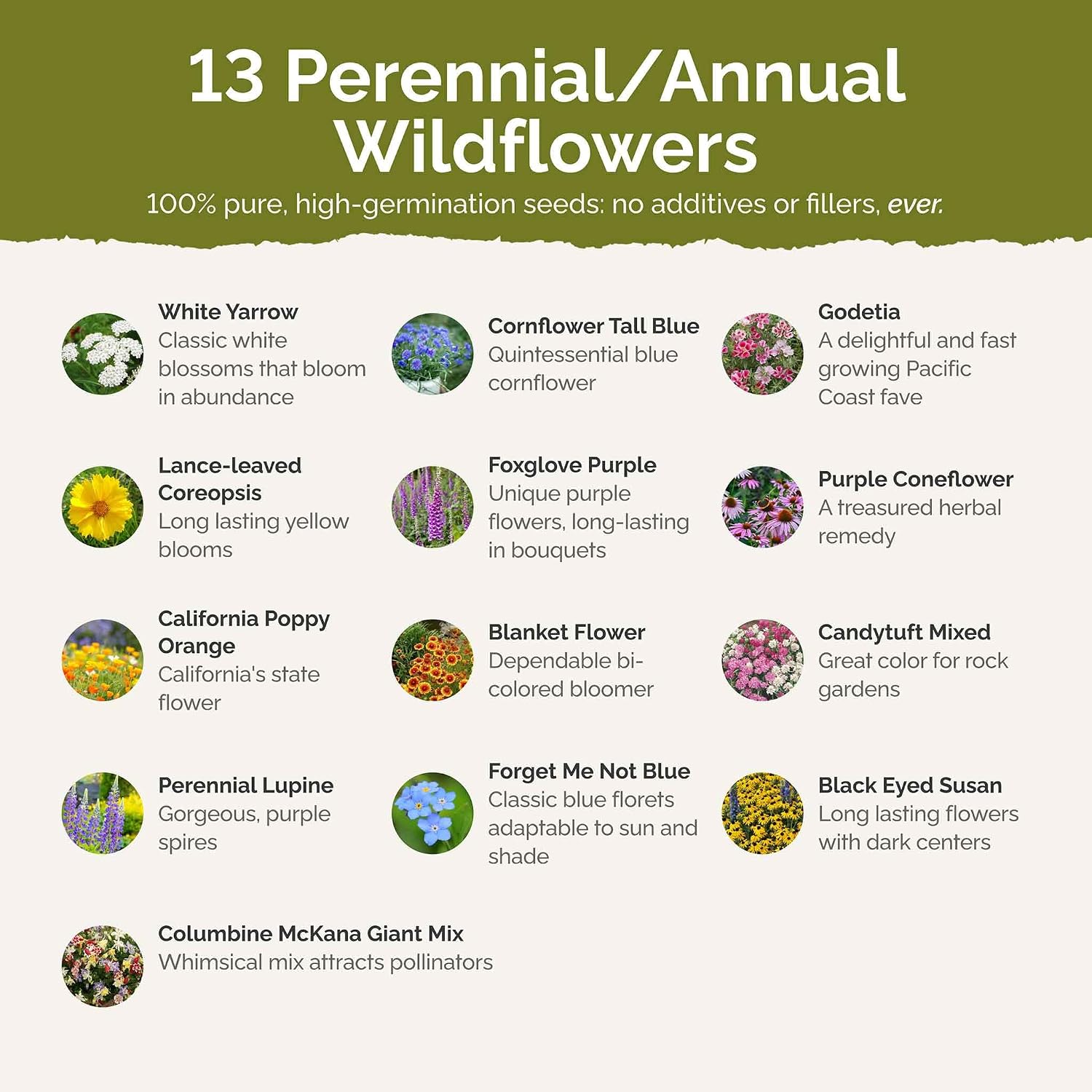 Eden Brothers Deer Resistant Wildflower Mixed Seeds for Planting, 1 lb