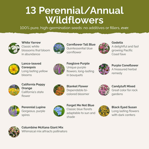 Eden Brothers Deer Resistant Wildflower Mixed Seeds for Planting, 1 lb