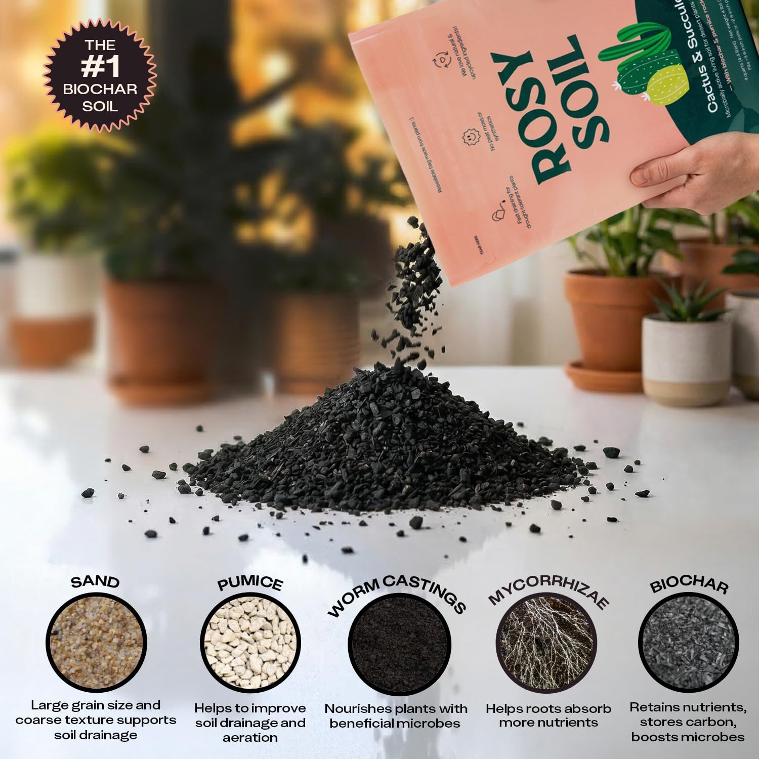 Rosy Soil Cactus & Succulent Potting Mix, 4 Quarts