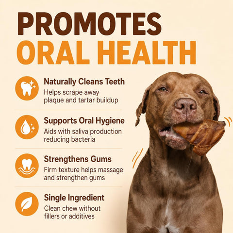 Gaines Pet Pig Ears for Dogs - 40 Pack, Thick Cut, All-Natural Whole Ears - No Additives Or Hormones, Safe Rawhide Alternative, Dental Health, Easy to Digest, Great for Small to Large Dogs