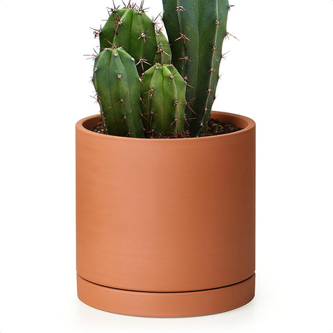 D'vine Dev Terracotta Plant Pot with Saucer, 6 Inch, 40-X-A-3