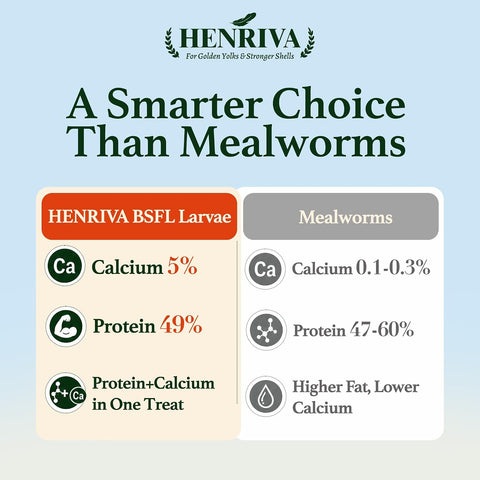 10LB Dried Black Soldier Fly Larvae for Chickens, 49% Protein BSFL Chicken Treats, 85X More Calcium Than Mealworms for Chickens, Non-GMO Chicken Feed for Laying Hens, Ducks & Wild Birds